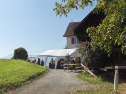 Bitte zum Vergrößern und zur Dia-Show anklicken!