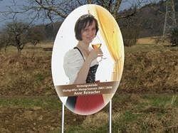 Bitte zum Vergrößern und zur Dia-Show anklicken!
