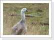 Klicken Sie auf das Bild, um es zu vergrößern