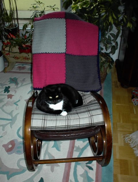 Frieda in ihrem Lieblingsplatz